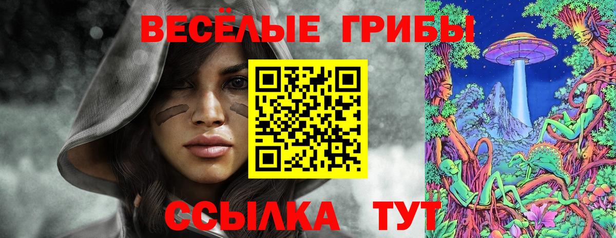 Галлюциногенные грибы MAGIC MUSHROOMS  Бор 